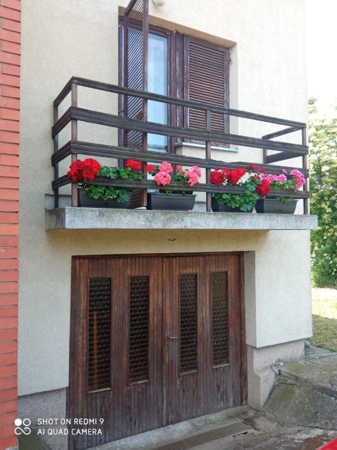 Vila Milica Кралево Екстериор снимка